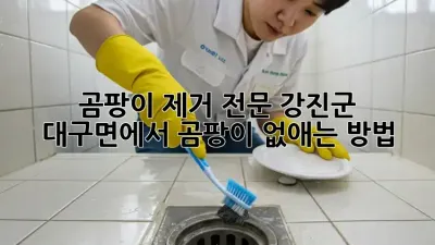 곰팡이 제거 전문: 강진군 대구면에서 곰팡이 없애는 방법